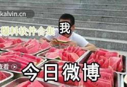 全网爆料吃瓜视频大全下载,揭秘娱乐圈幕后真相