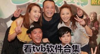 tvb电视剧下载,重温经典，畅享精彩瞬间